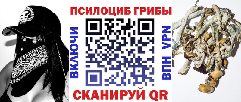 Купить  Кумертау  Галлюциногенные грибы GOLDEN TEACHER 